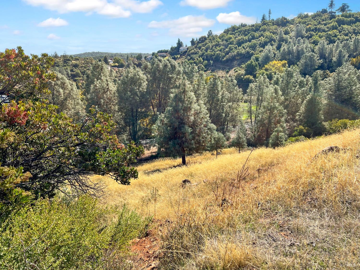 10203 El Capitan Way Kelseyville CA 95451