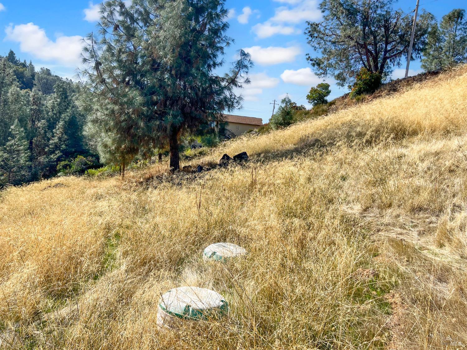 10203 El Capitan Way Kelseyville CA 95451