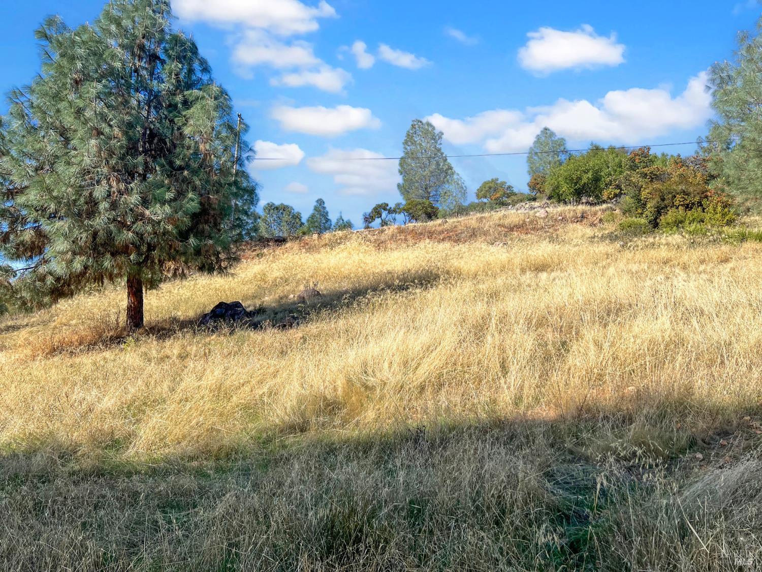 10203 El Capitan Way Kelseyville CA 95451