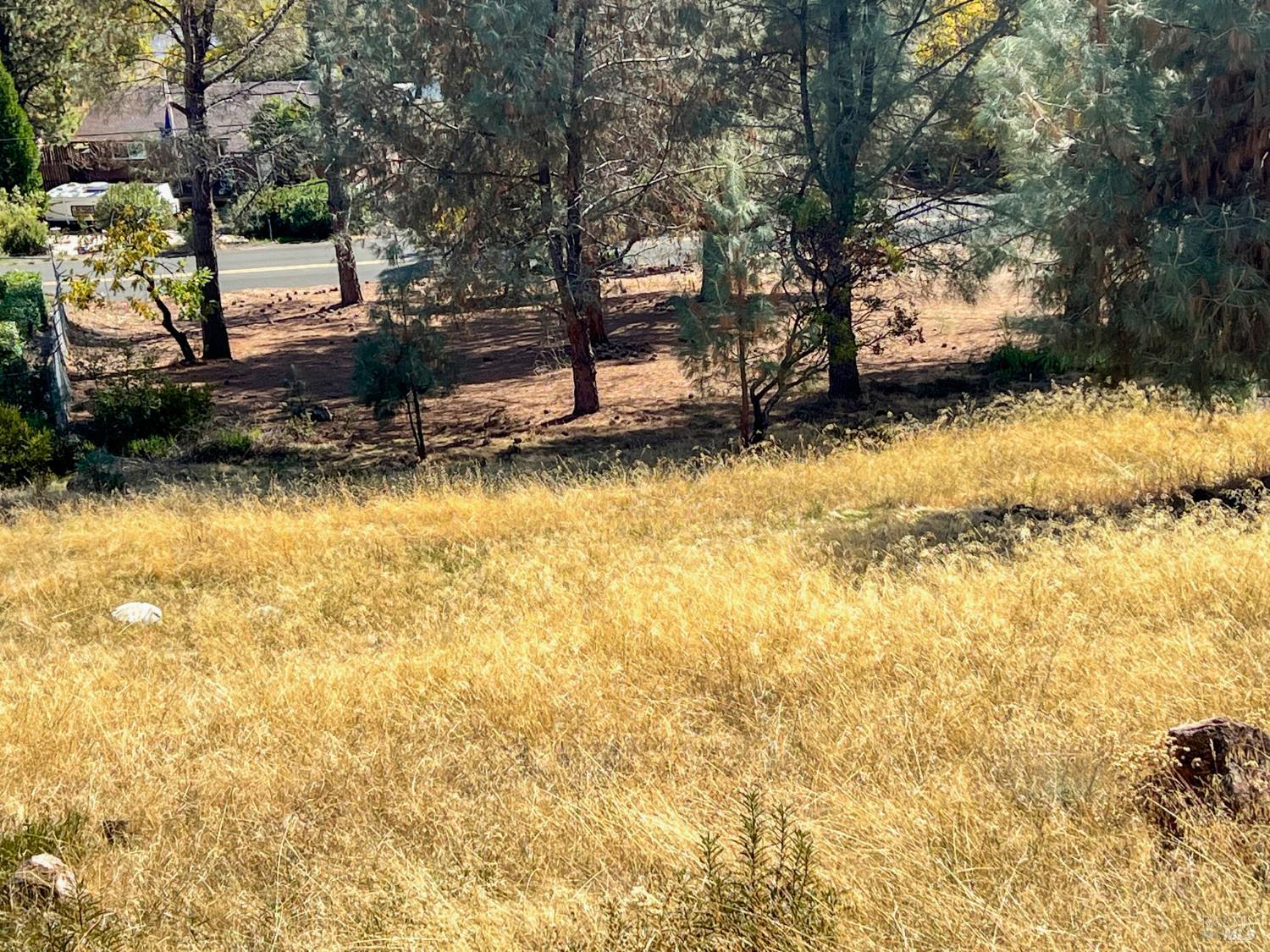 10203 El Capitan Way Kelseyville CA 95451
