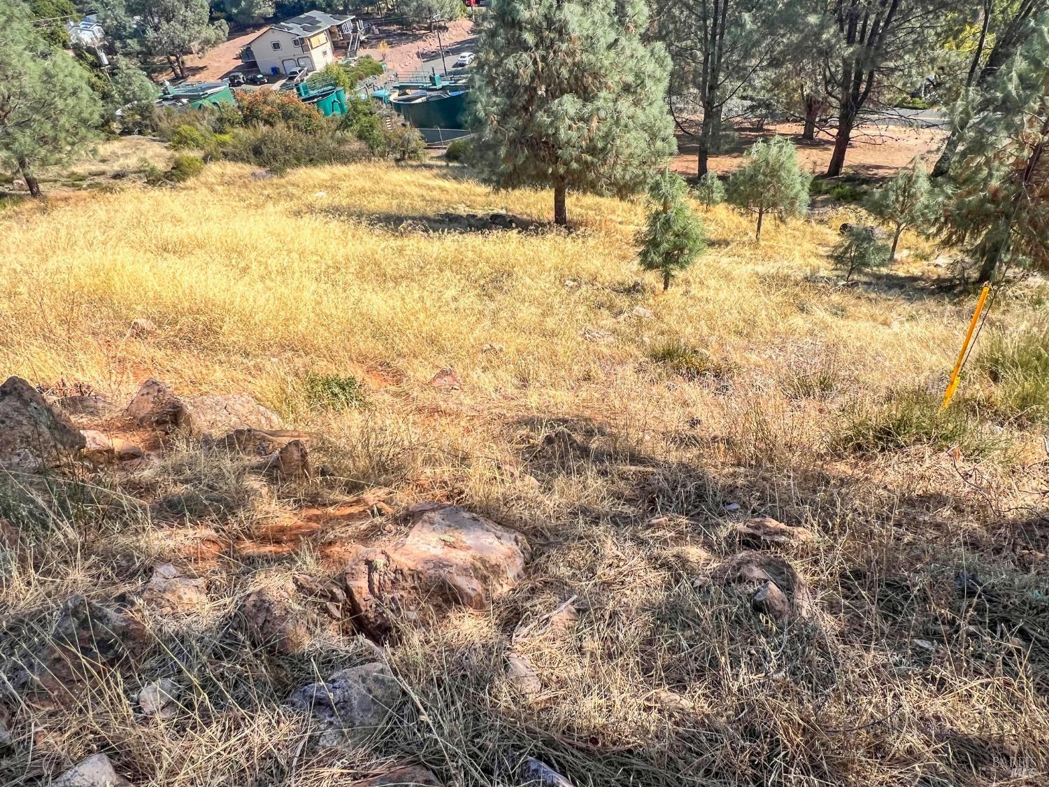 10203 El Capitan Way Kelseyville CA 95451