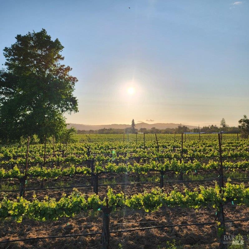 1435 Big Valley Road Lakeport CA 95453