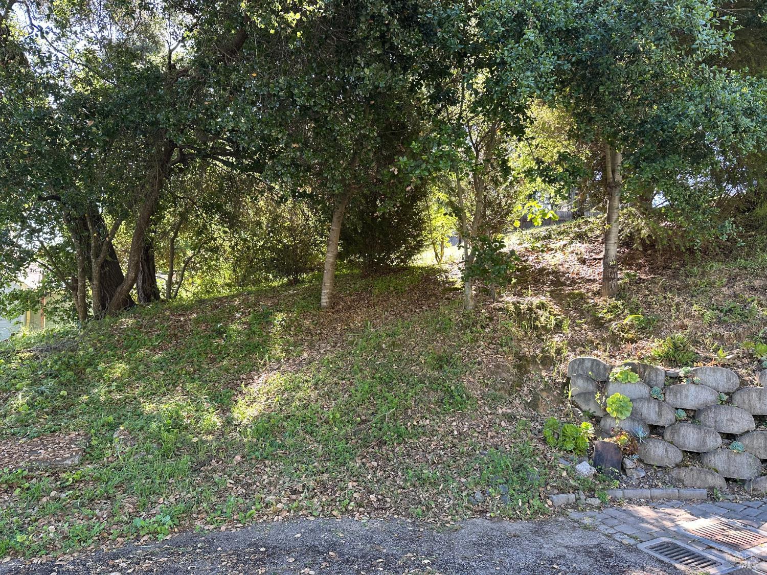 0 7580 Washington Avenue Sebastopol CA 95472