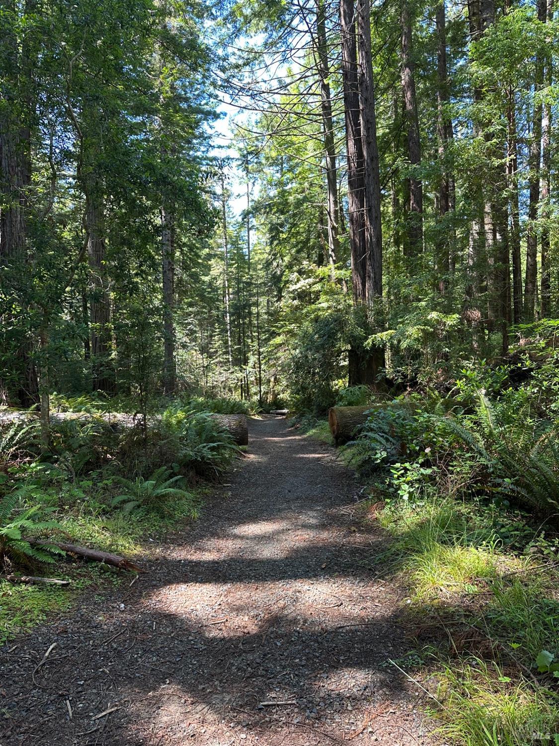 10181 Sorcerer Wood The Sea Ranch CA 95497