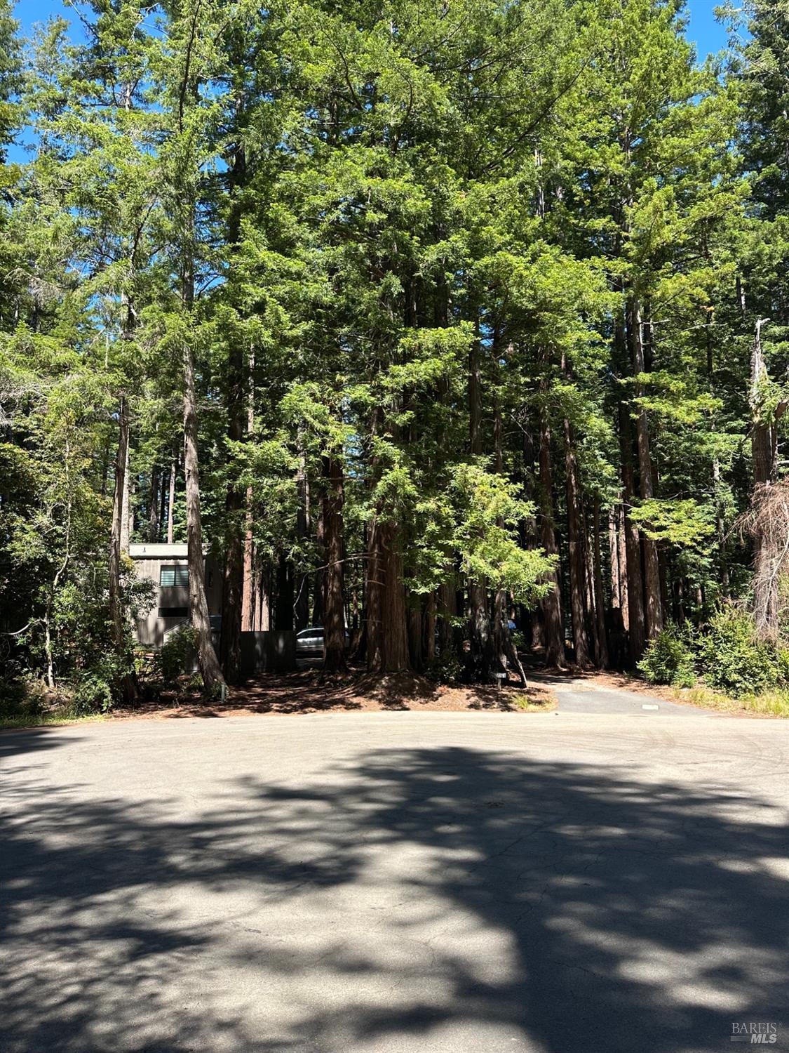 10181 Sorcerer Wood The Sea Ranch CA 95497