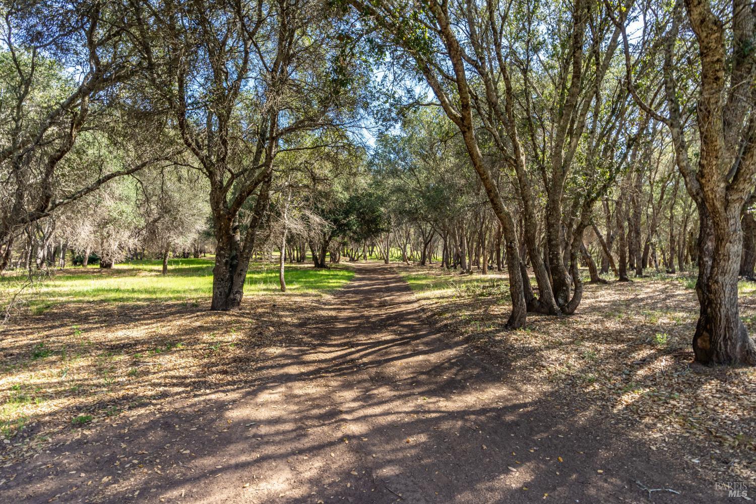 0 Franz Valley School Road Calistoga CA 94515