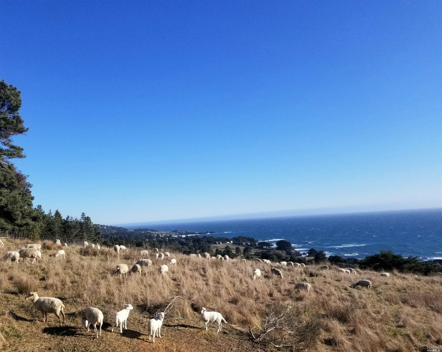 35427 Sea Gate Road The Sea Ranch CA 95497