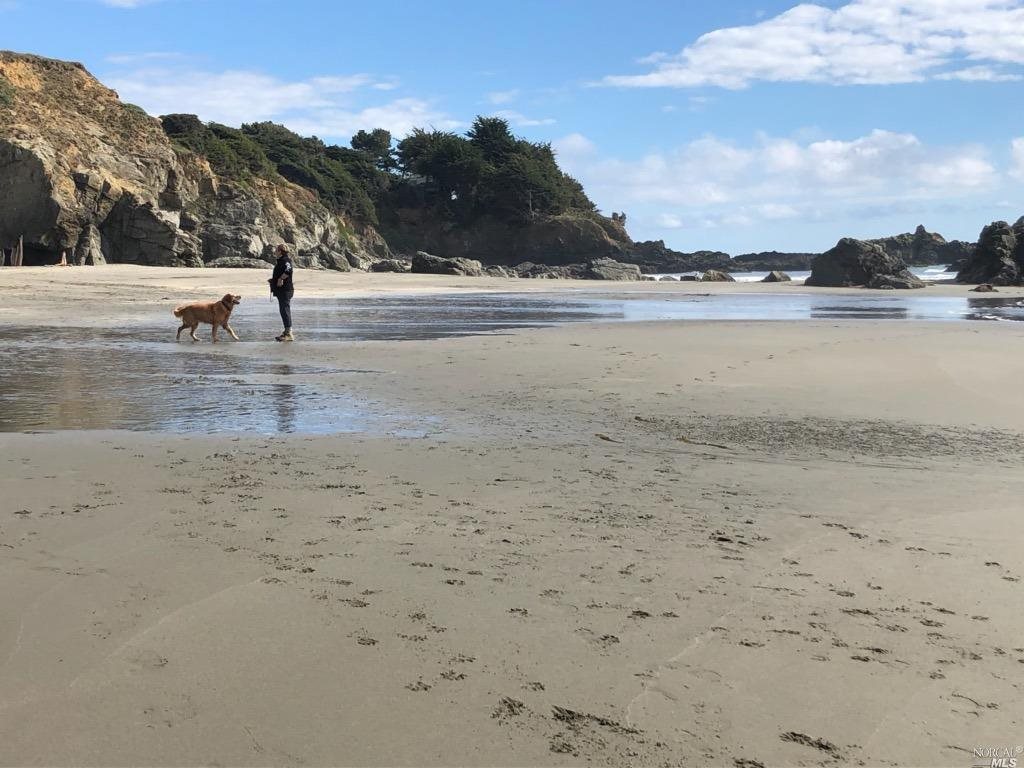 35427 Sea Gate Road The Sea Ranch CA 95497