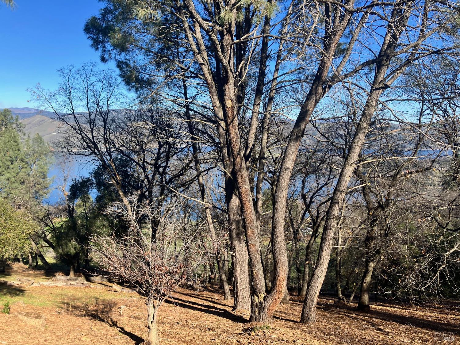 3050 Riviera Heights Drive Kelseyville CA 95451