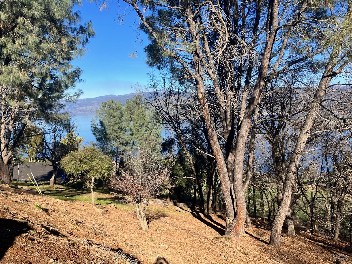 3050 Riviera Heights Drive Kelseyville CA 95451
