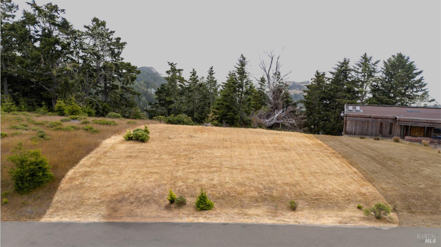 43471 Alta Mesa Road Manchester CA 95459
