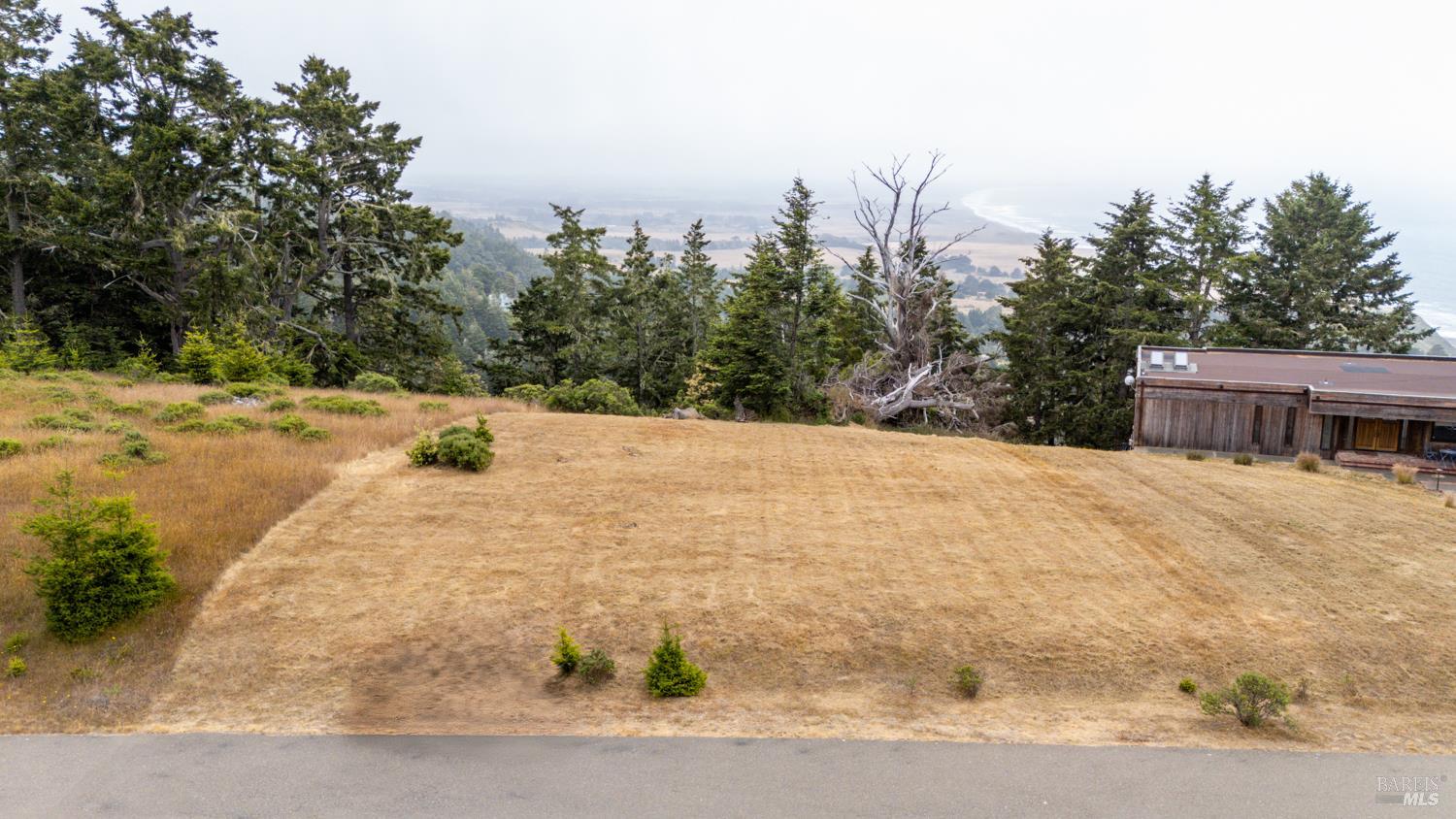 43471 Alta Mesa Road Manchester CA 95459