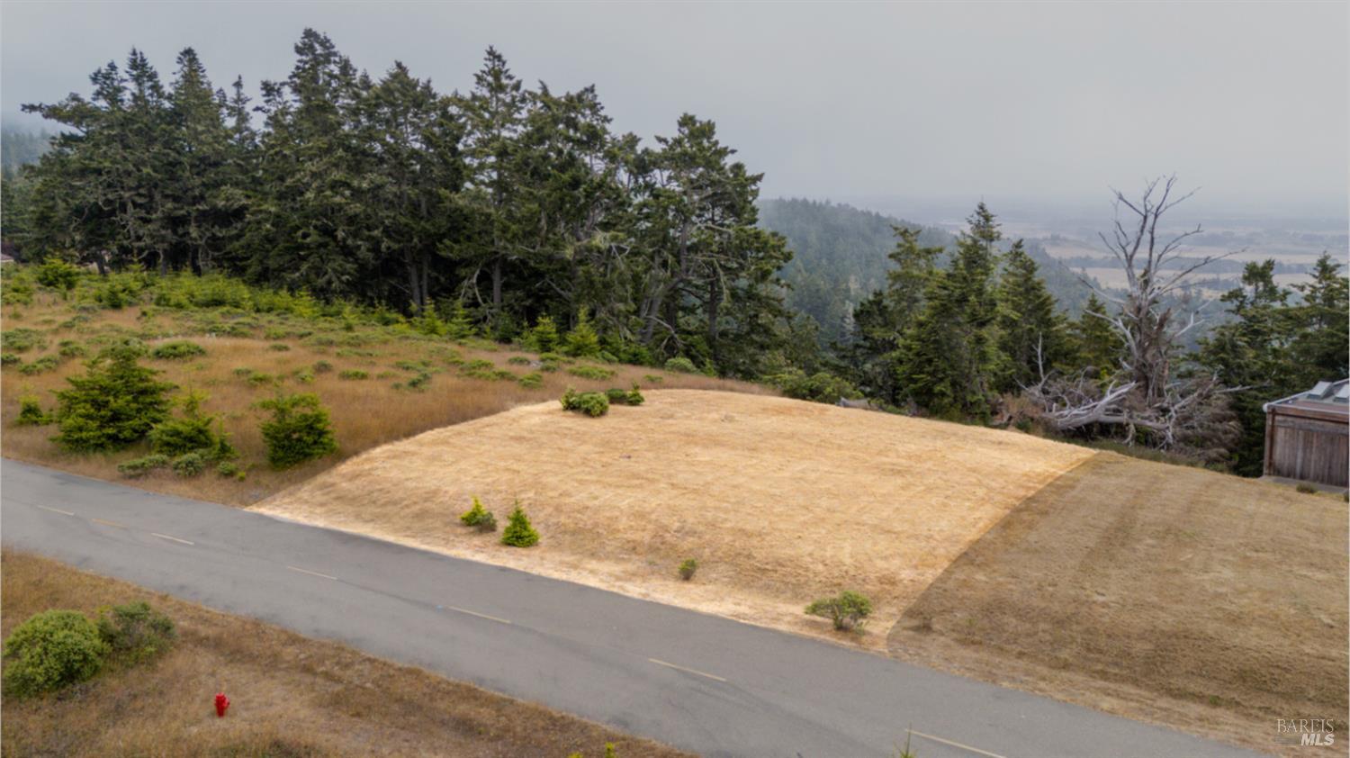 43471 Alta Mesa Road Manchester CA 95459