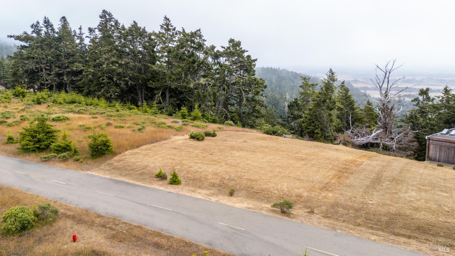 43471 Alta Mesa Road Manchester CA 95459
