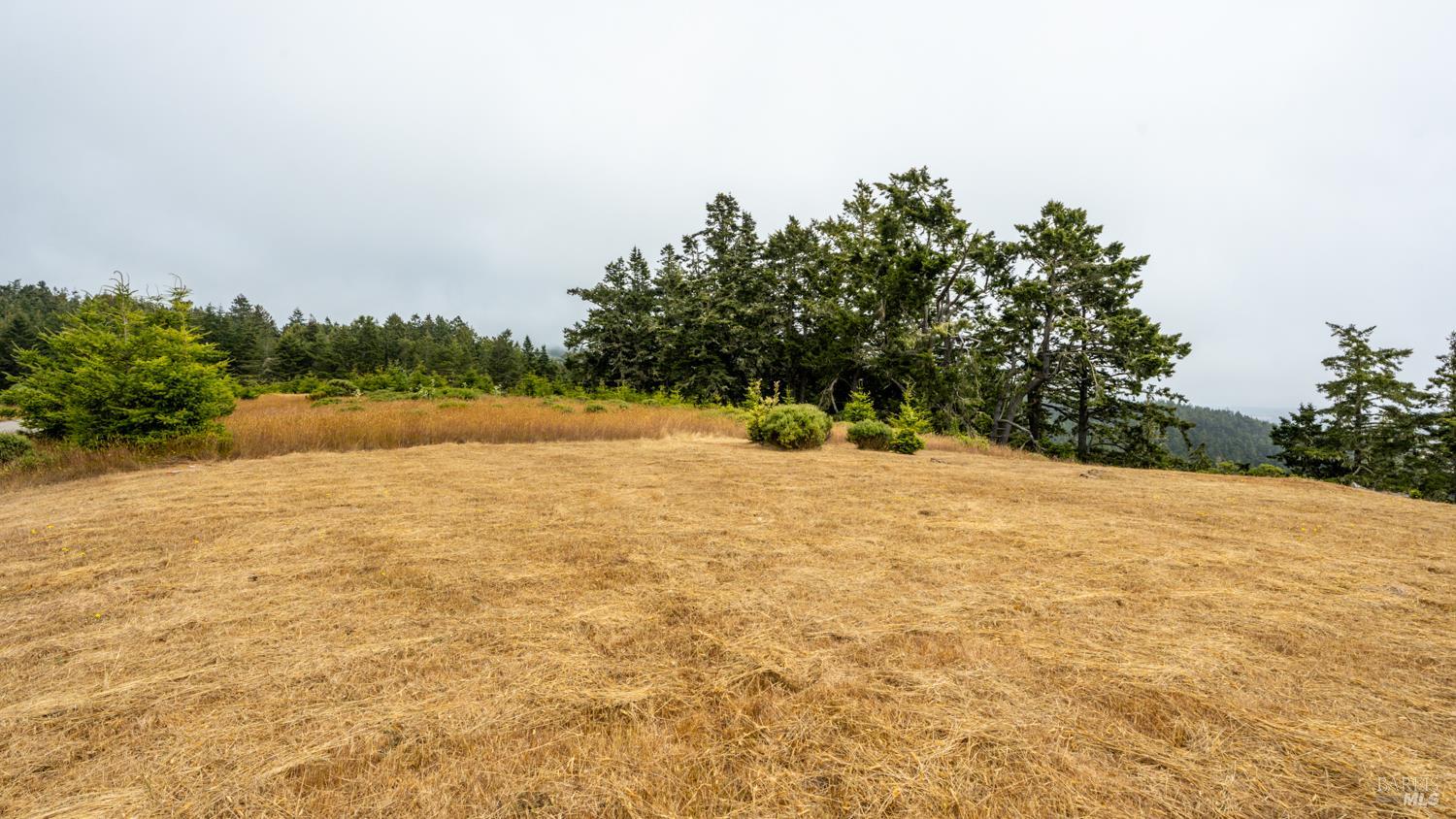 43471 Alta Mesa Road Manchester CA 95459