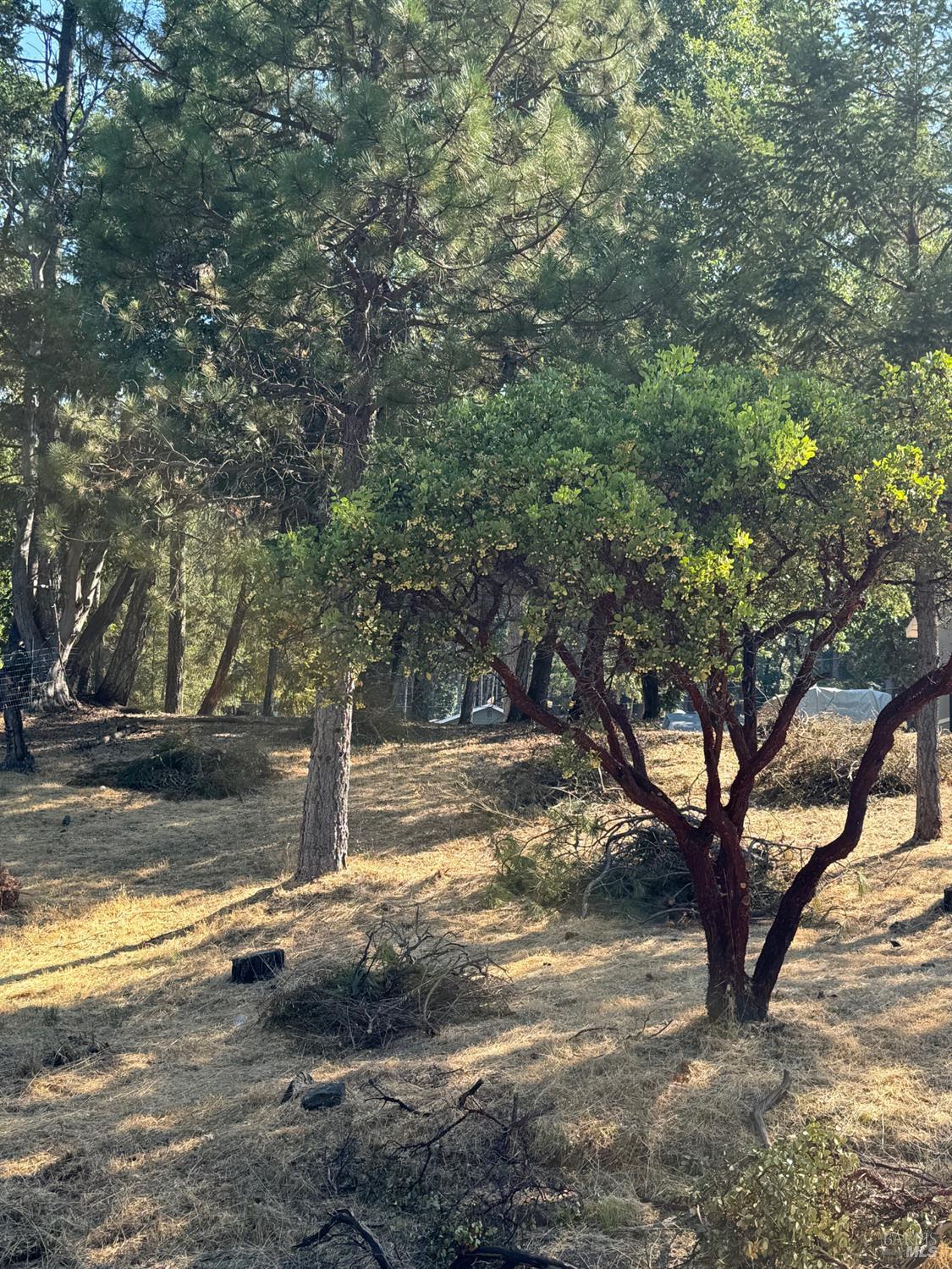 1596 Daphne Drive Willits CA 95490