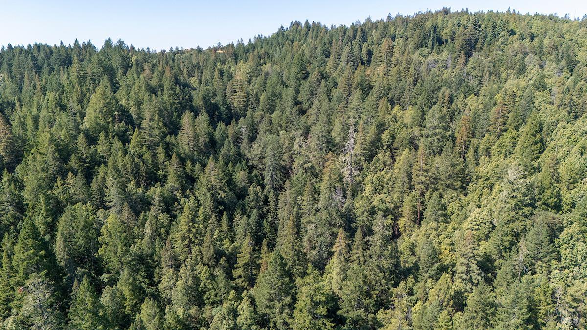 30401 Highway 128 Highway Yorkville CA 95494