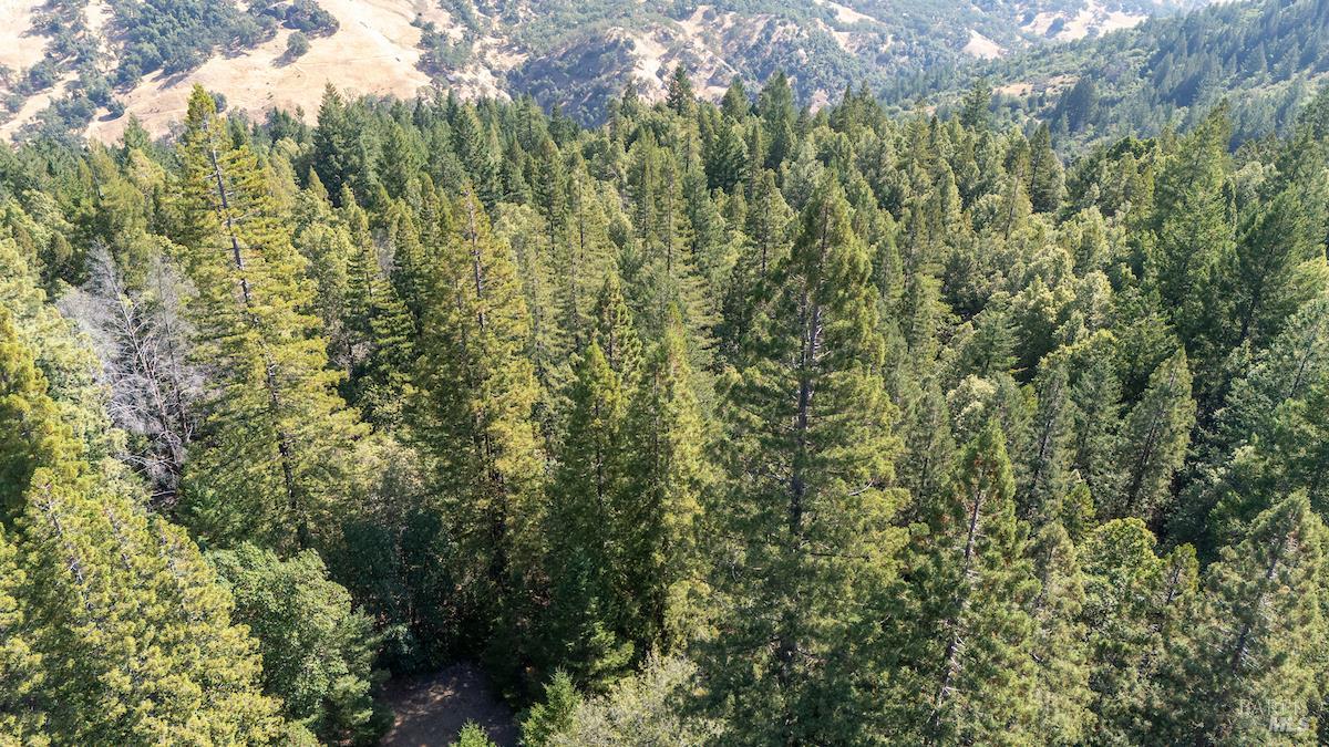 30401 Highway 128 Highway Yorkville CA 95494