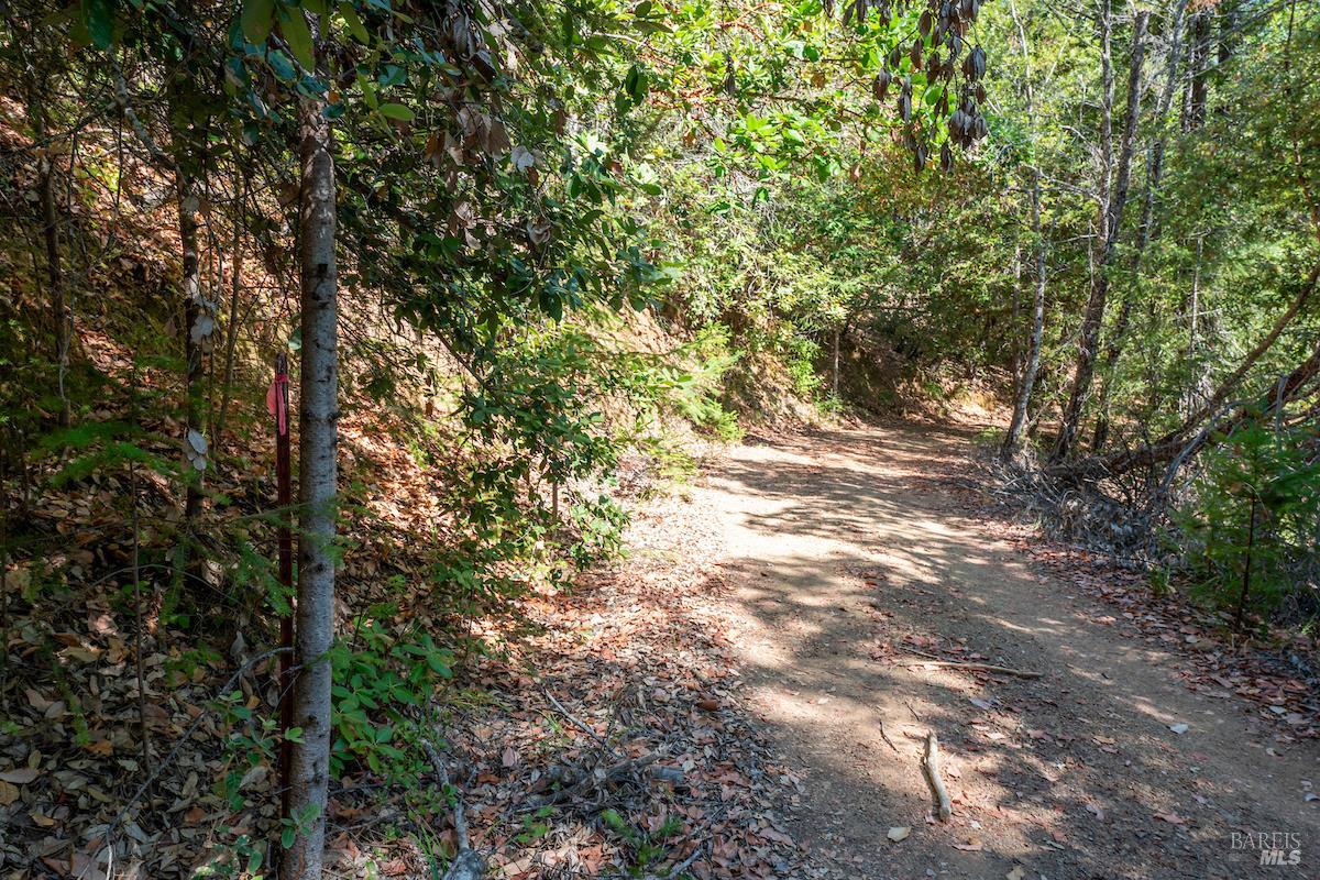 30401 Highway 128 Highway Yorkville CA 95494