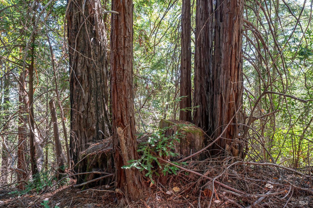 30401 Highway 128 Highway Yorkville CA 95494