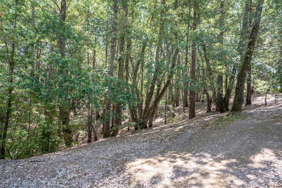 30401 Highway 128 Highway Yorkville CA 95494