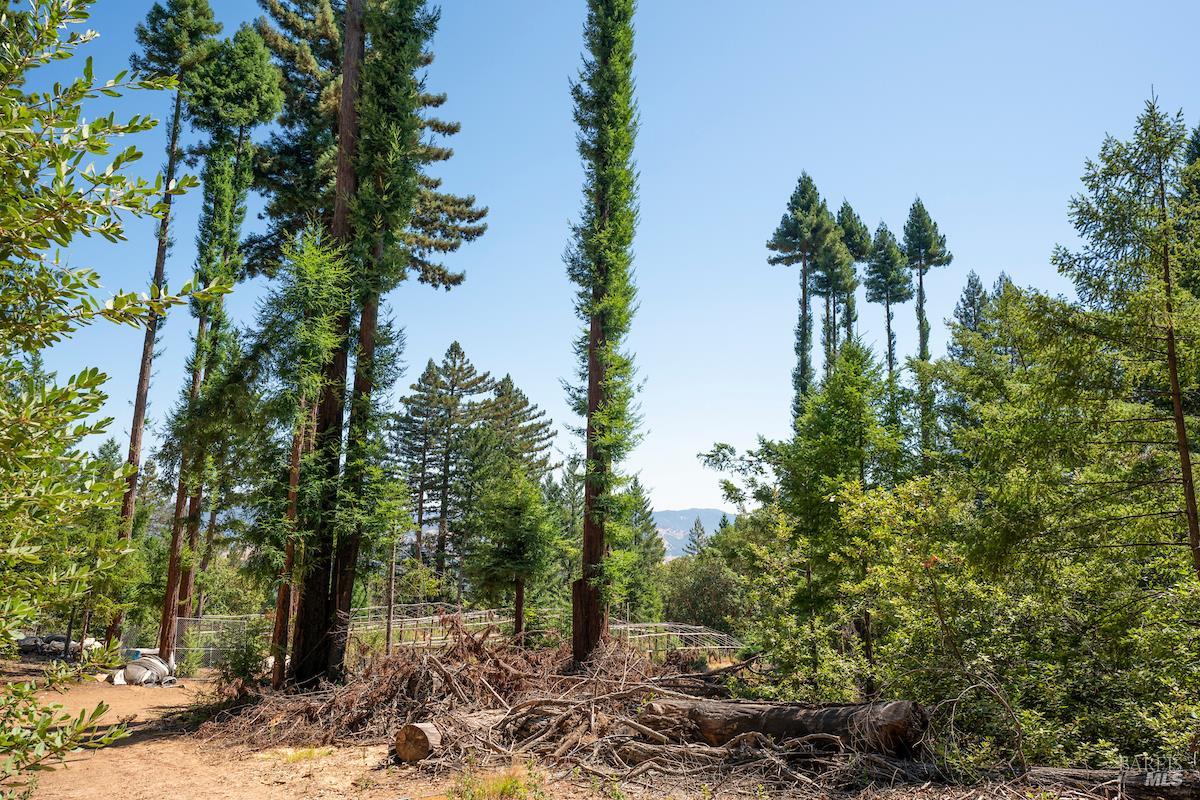 30401 Highway 128 Highway Yorkville CA 95494