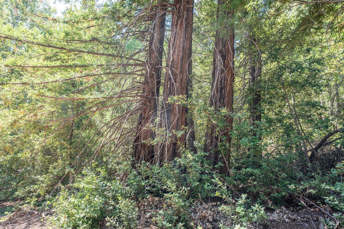 30401 Highway 128 Highway Yorkville CA 95494