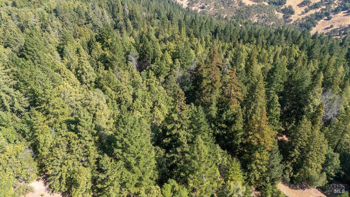 30401 Highway 128 Highway Yorkville CA 95494