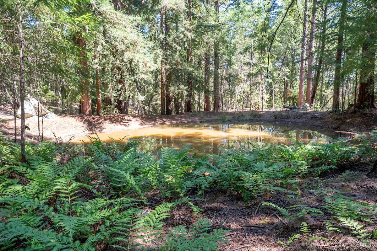 30401 Highway 128 Highway Yorkville CA 95494