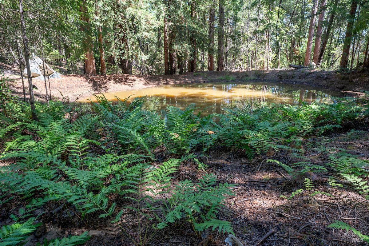 30401 Highway 128 Highway Yorkville CA 95494
