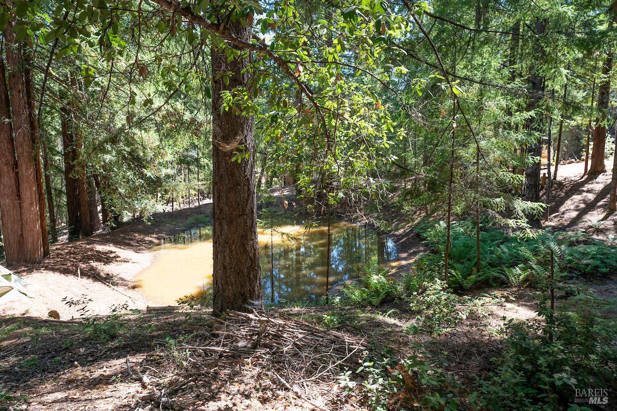 30401 Highway 128 Highway Yorkville CA 95494