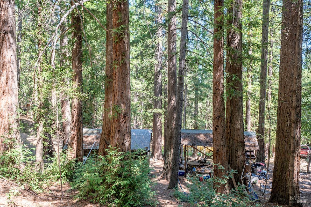 30401 Highway 128 Highway Yorkville CA 95494