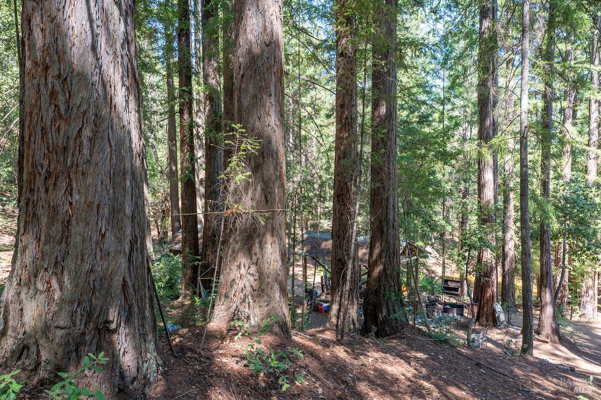 30401 Highway 128 Highway Yorkville CA 95494