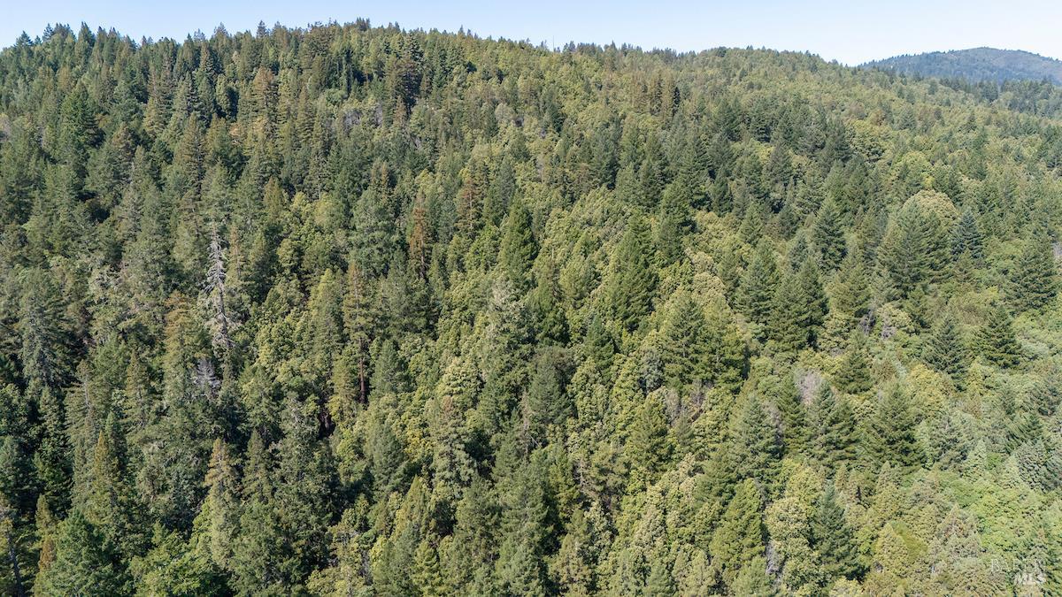 30401 Highway 128 Highway Yorkville CA 95494