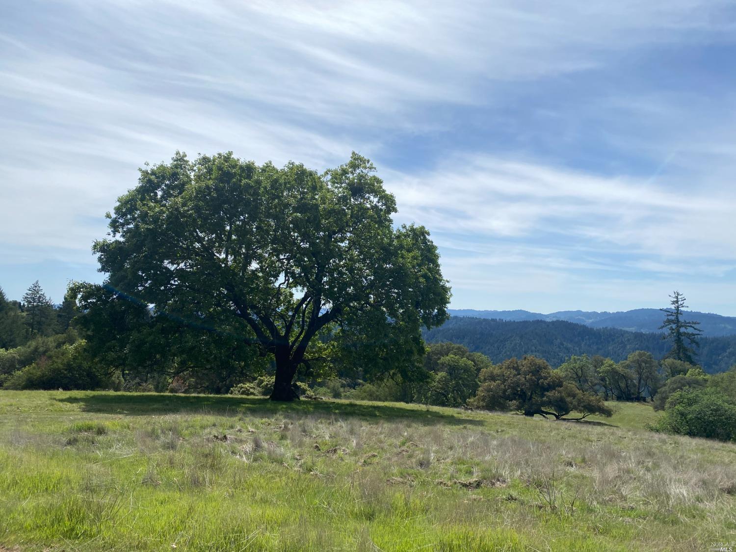 19010 Hulbert Road Yorkville CA 95494