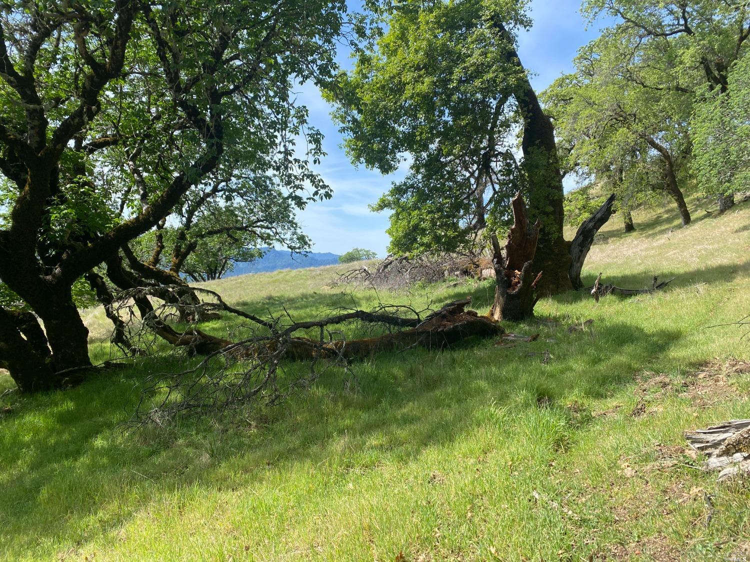 19010 Hulbert Road Yorkville CA 95494