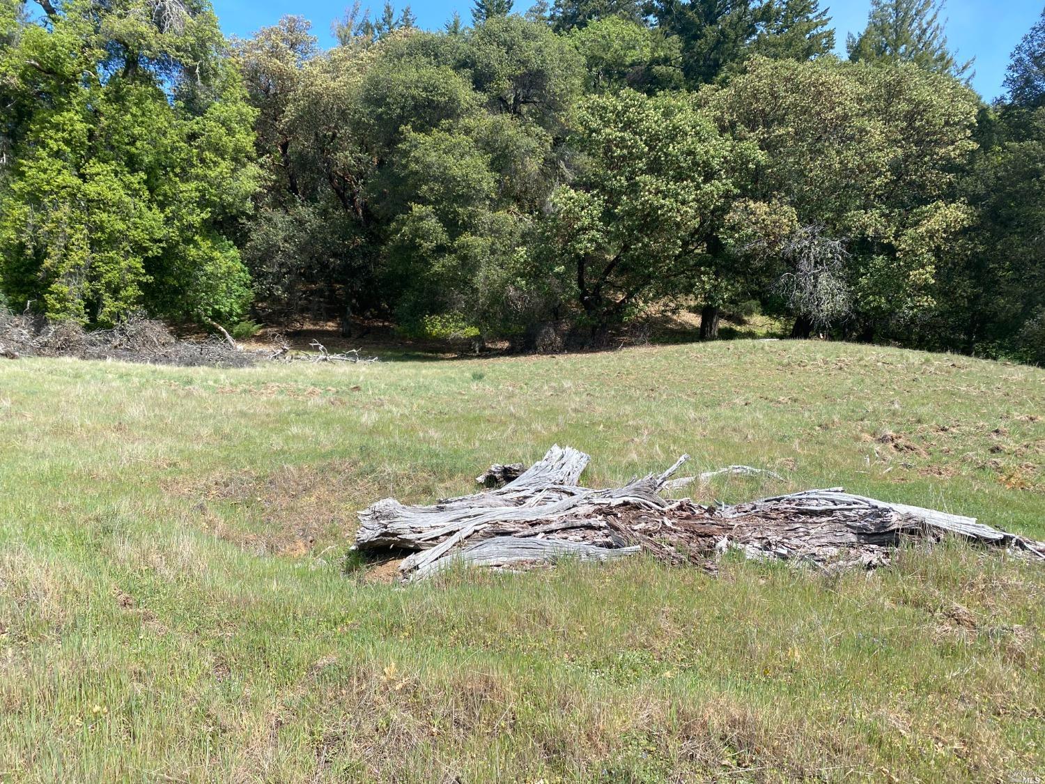 19010 Hulbert Road Yorkville CA 95494