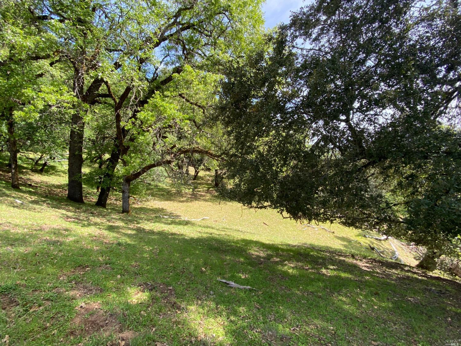 19010 Hulbert Road Yorkville CA 95494