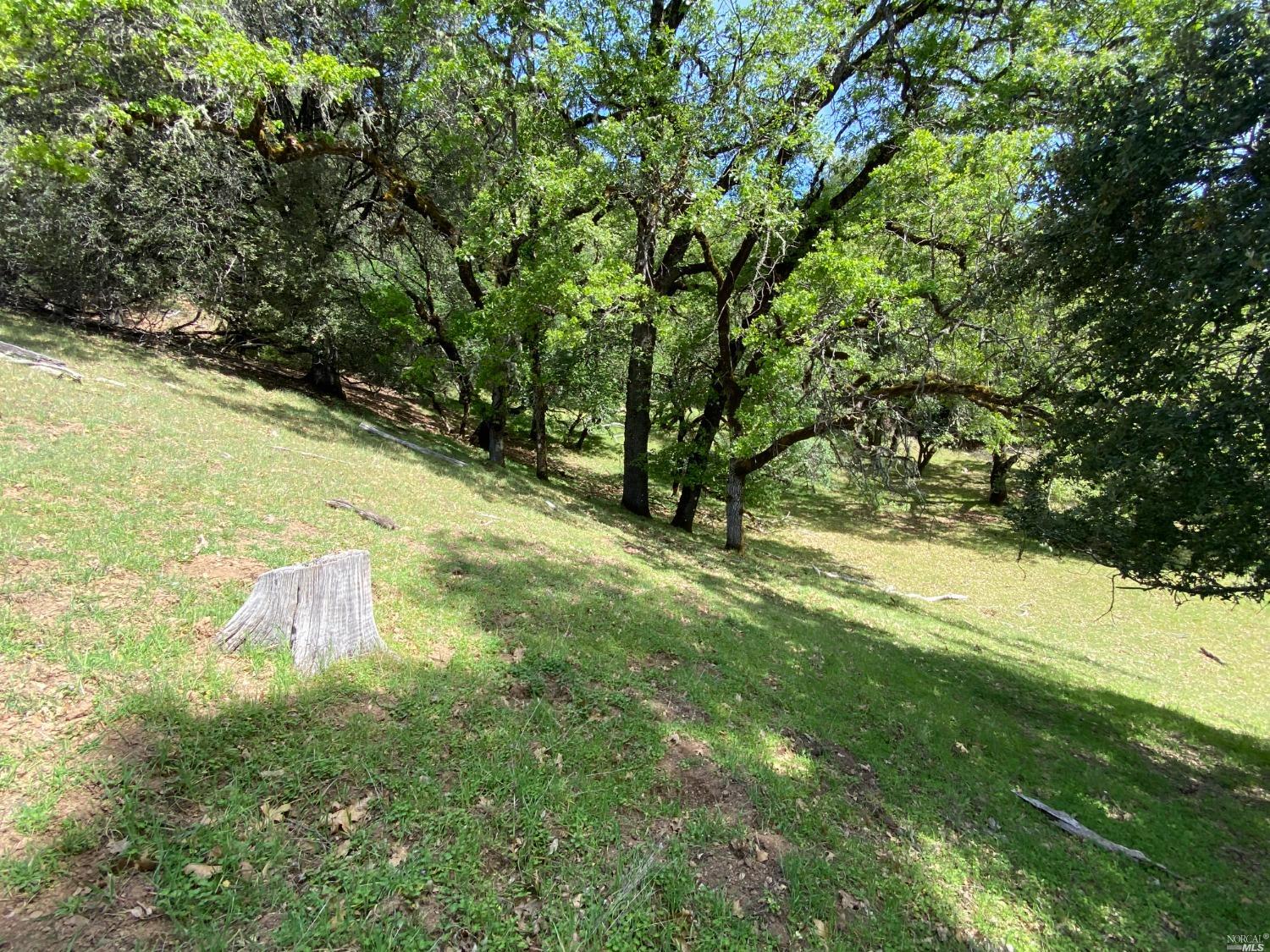 19010 Hulbert Road Yorkville CA 95494
