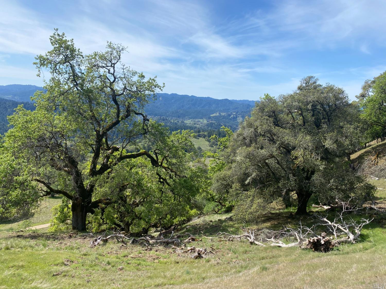 19010 Hulbert Road Yorkville CA 95494