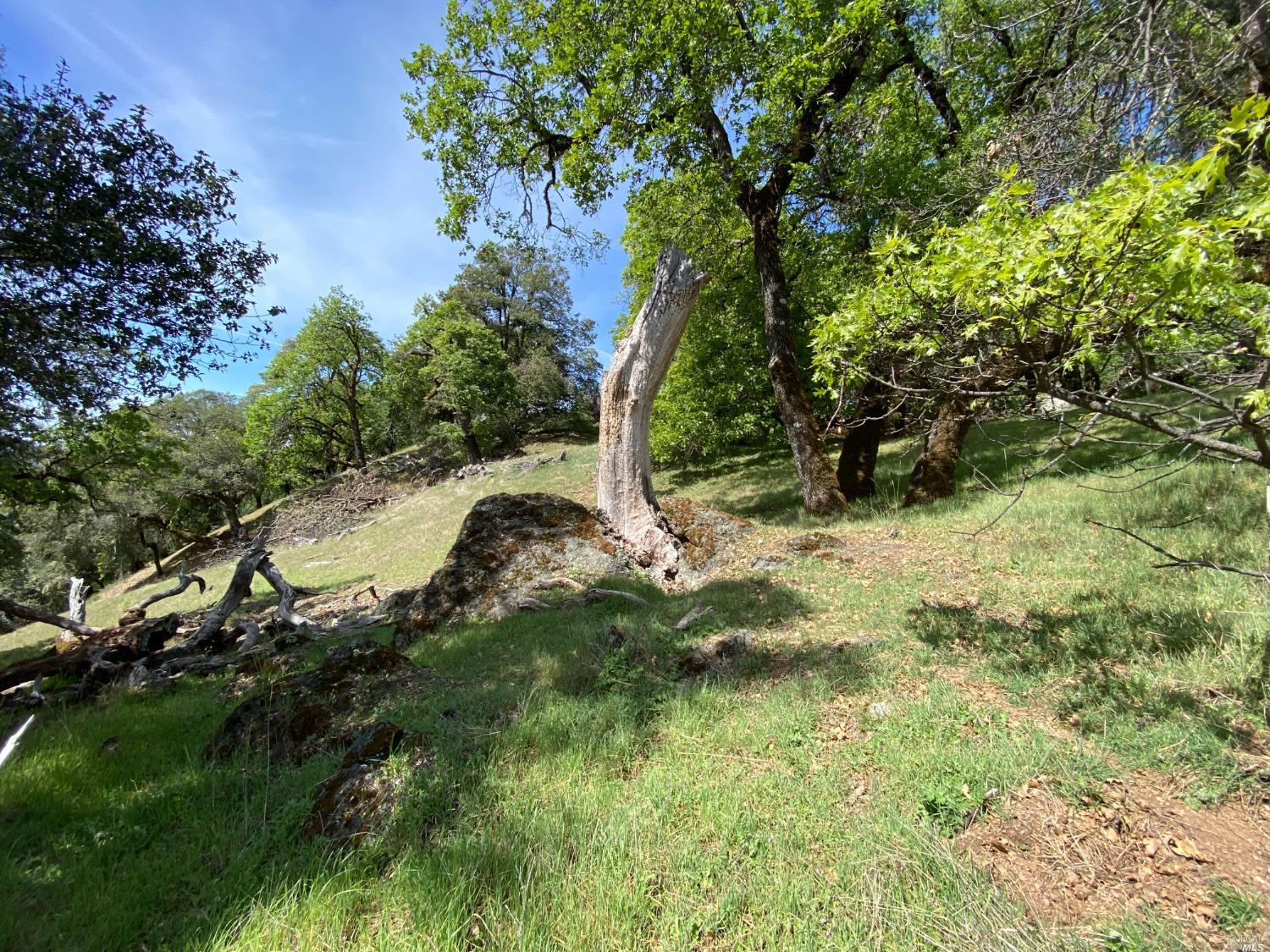 19010 Hulbert Road Yorkville CA 95494