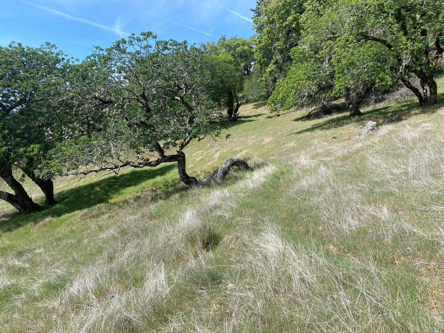 19010 Hulbert Road Yorkville CA 95494