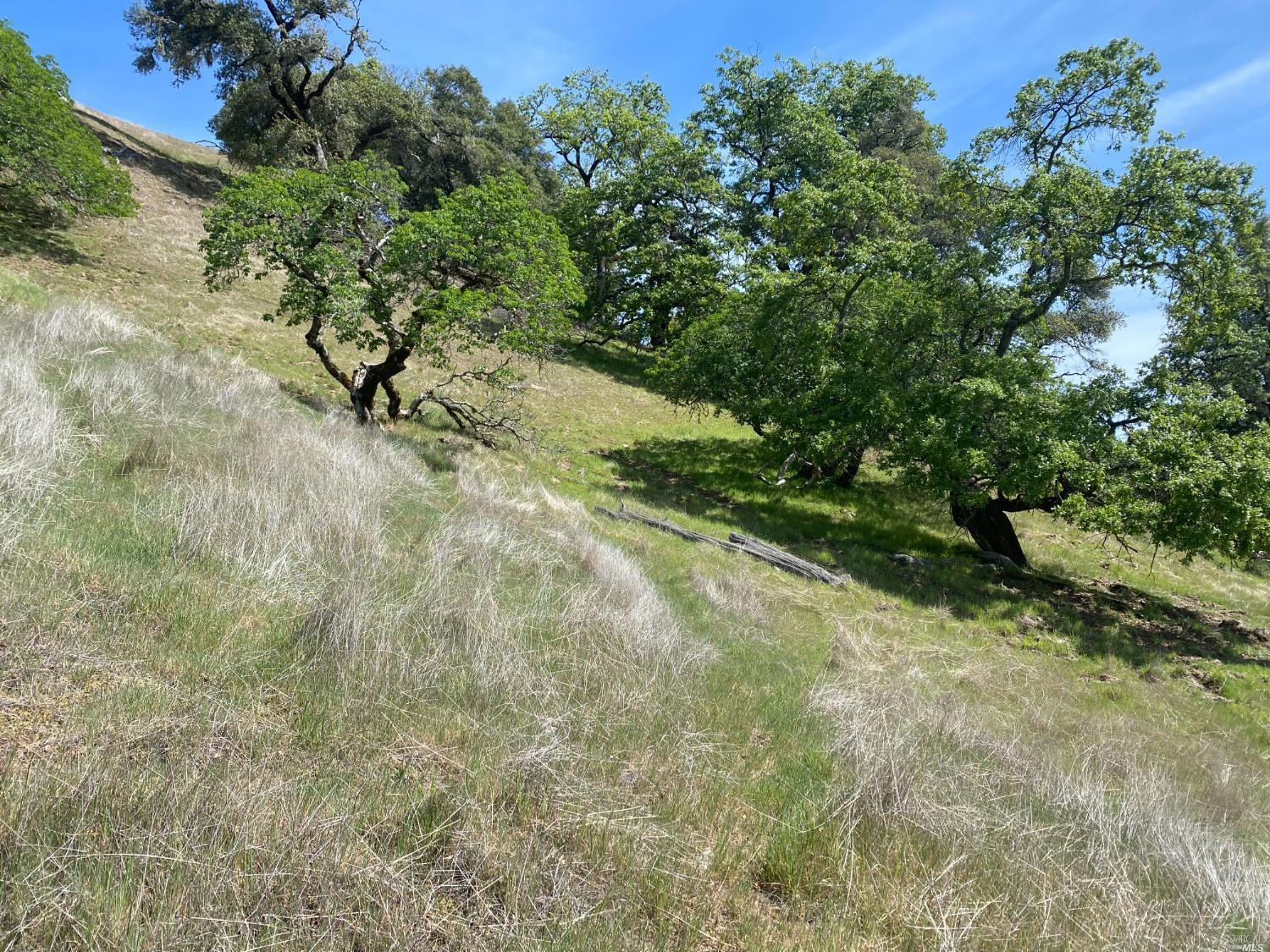 19010 Hulbert Road Yorkville CA 95494