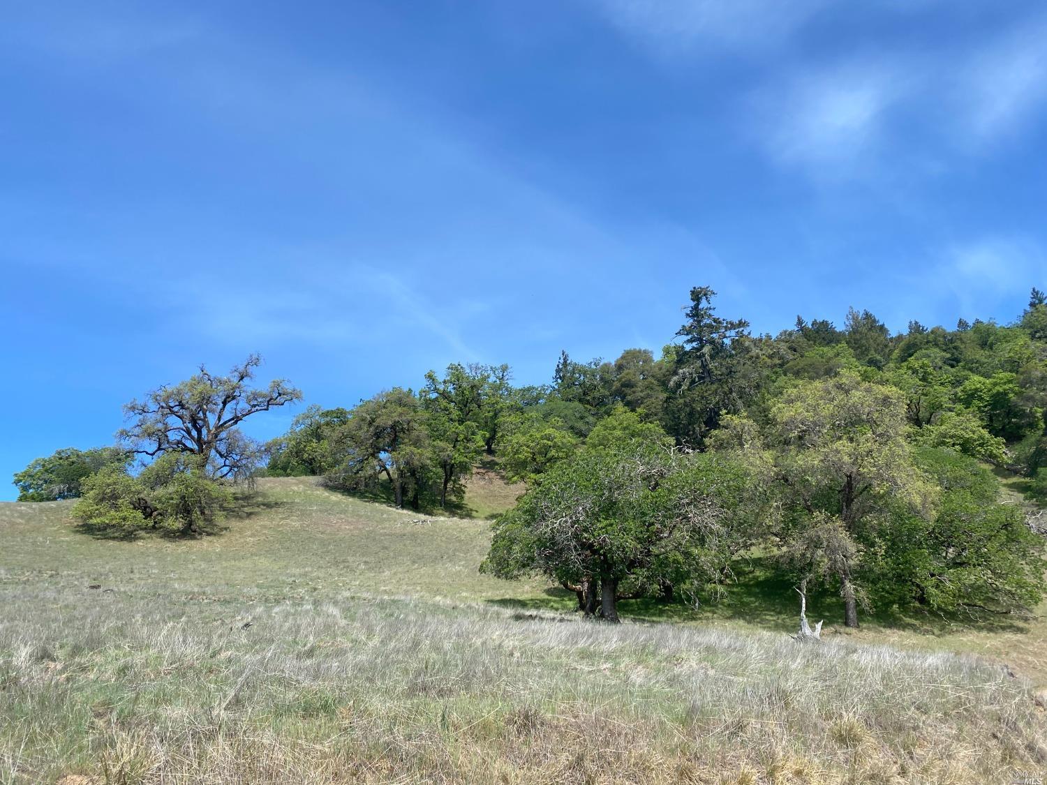 19010 Hulbert Road Yorkville CA 95494