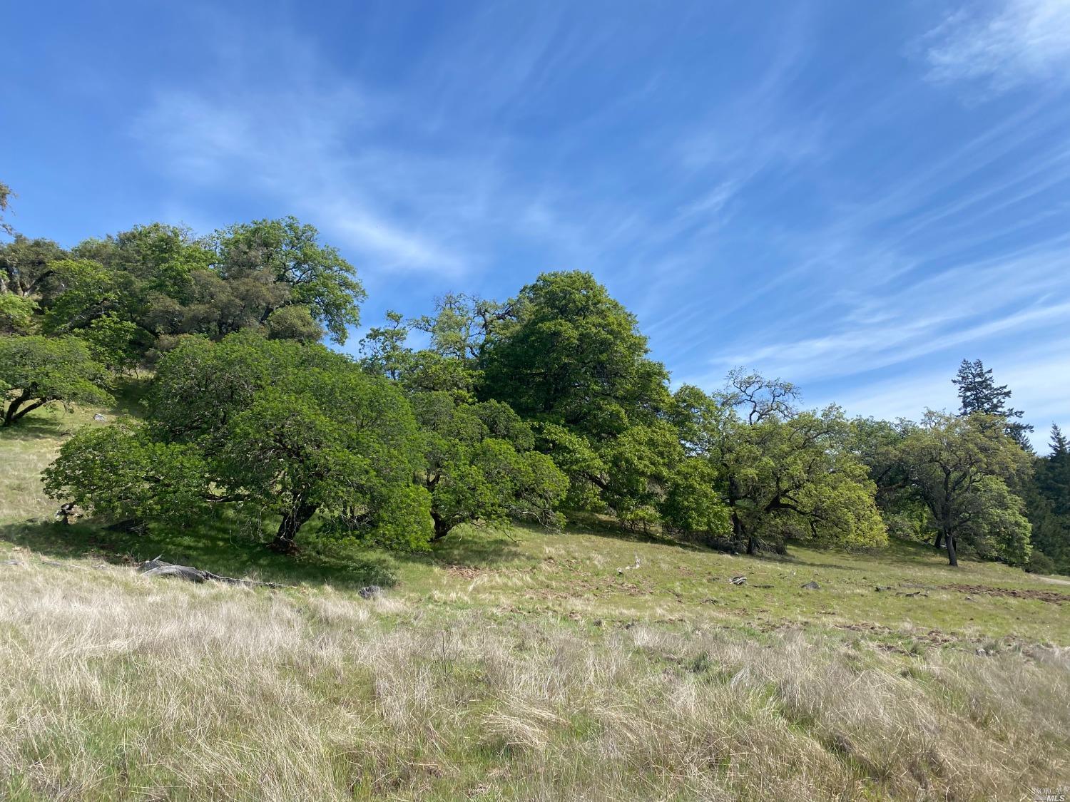19010 Hulbert Road Yorkville CA 95494