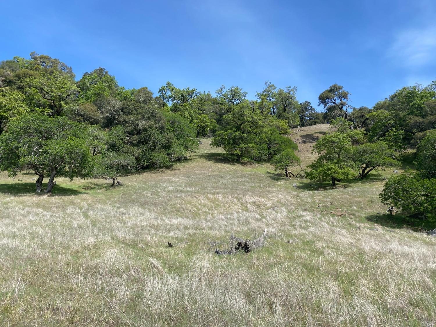 19010 Hulbert Road Yorkville CA 95494