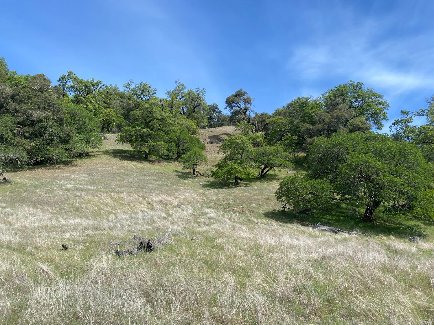 19010 Hulbert Road Yorkville CA 95494