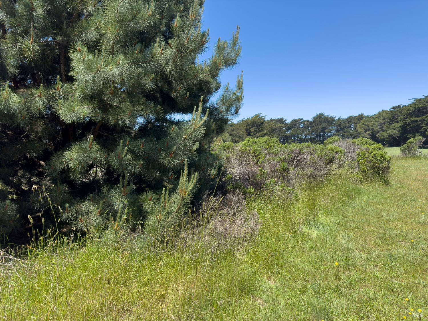 42320 Forecastle Street The Sea Ranch CA 95497