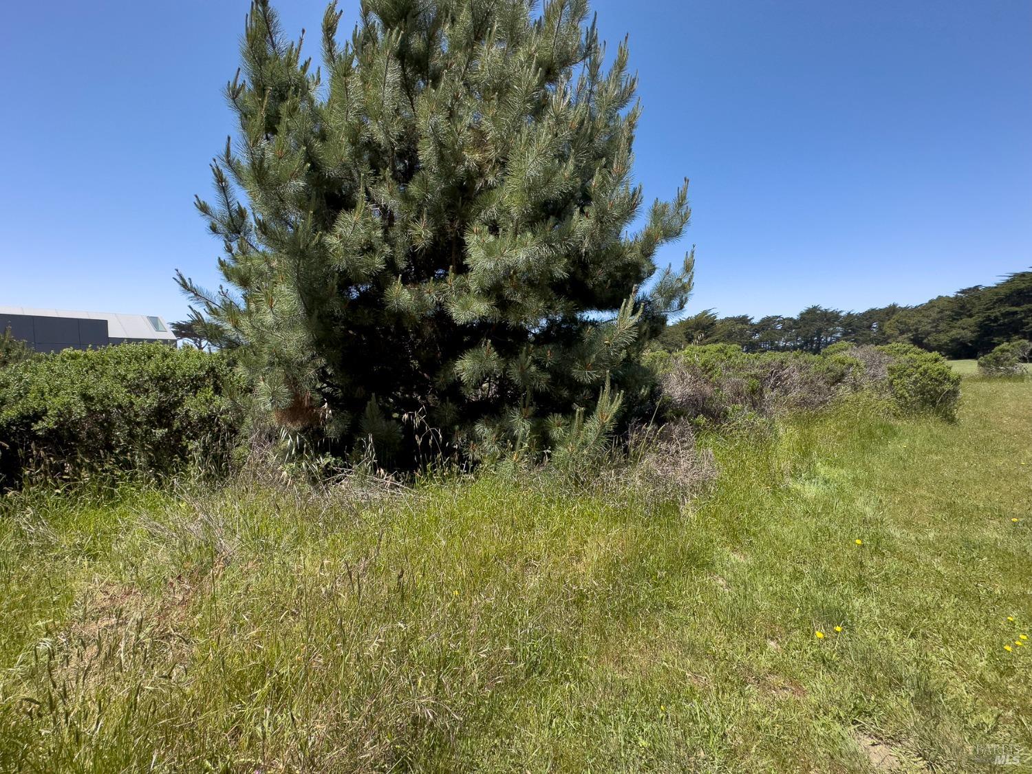 42320 Forecastle Street The Sea Ranch CA 95497