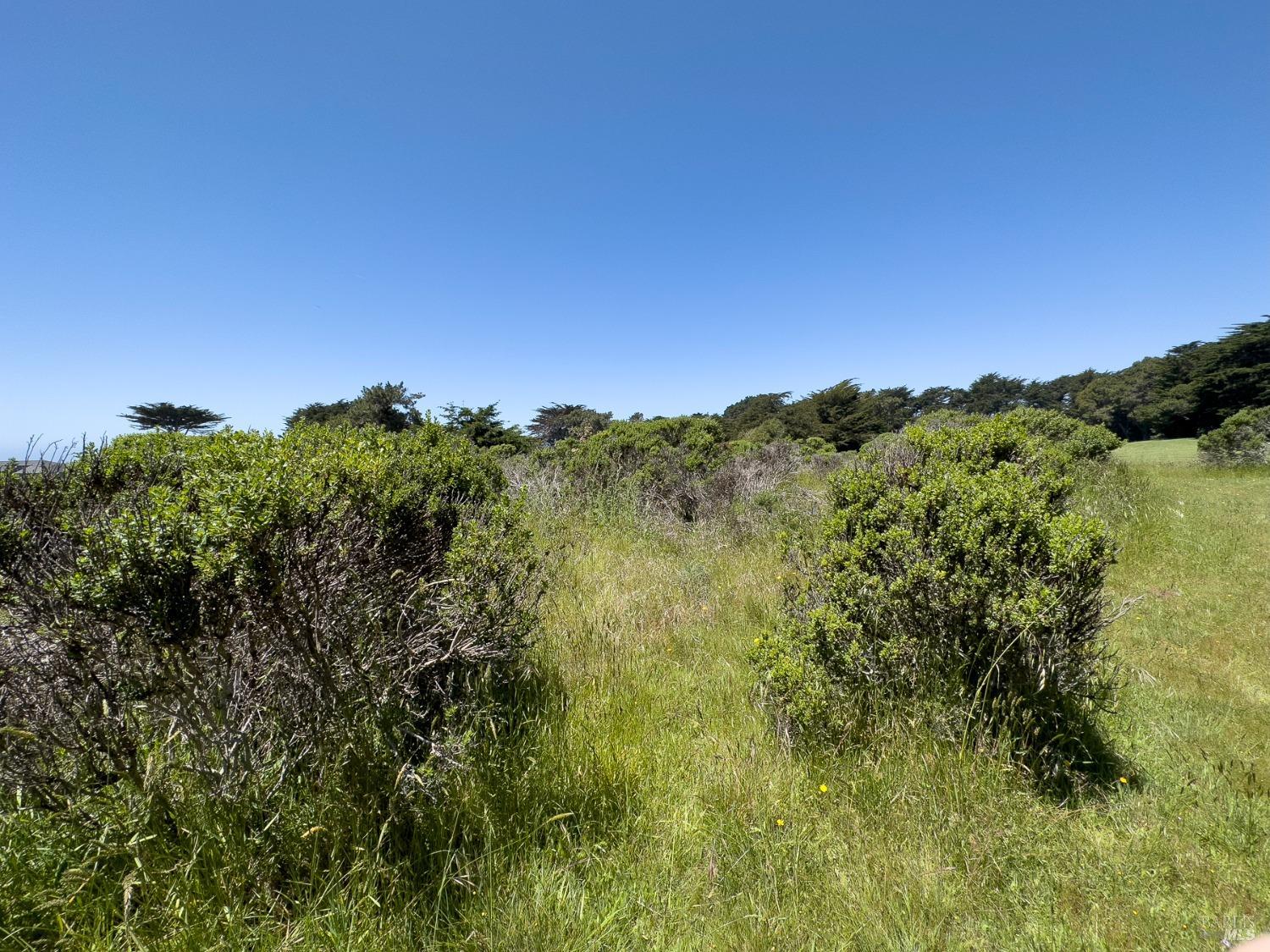 42320 Forecastle Street The Sea Ranch CA 95497